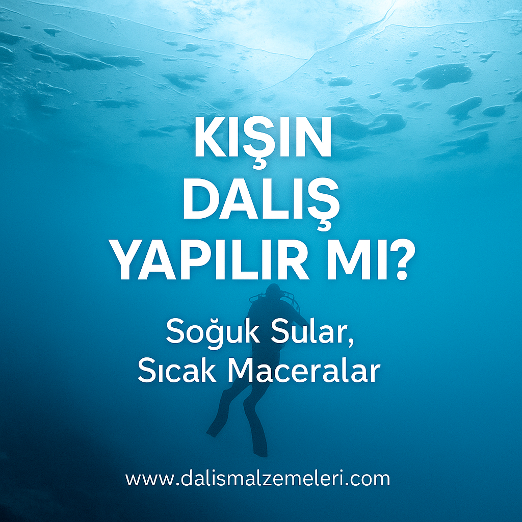 Kışın Dalış Yapılır mı? İşte Bilmen Gerekenler