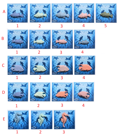 Deniz Canlıları Rozet-2