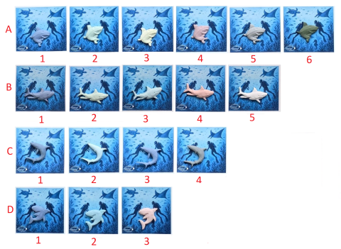 Deniz Canlıları Rozet-3